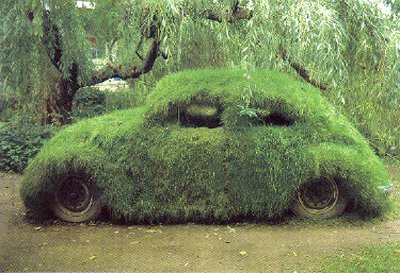 grass-covered-car